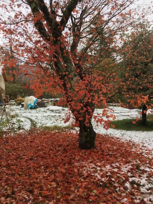 Willa Lerable Pourpre De La Grotte Au Lion Arbon Zewnętrze zdjęcie